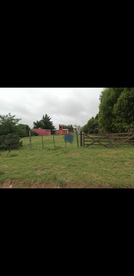 Vendemos lote forestado en barrio Parque Pahiuen Bahia Blanca