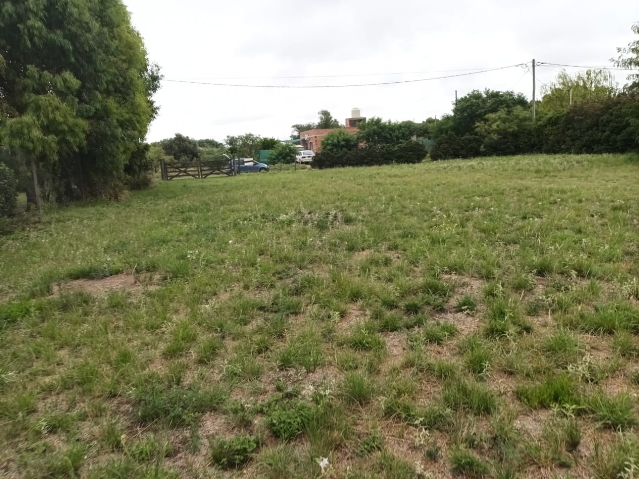 Vendemos lote forestado en barrio Parque Pahiuen Bahia Blanca