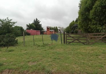 Vendemos lote forestado en barrio Parque Pahiuen Bahia Blanca