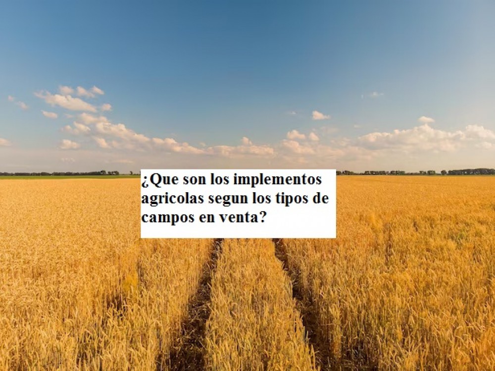 ¿Que son los implementos agricolas segun los tipos de campos en venta?