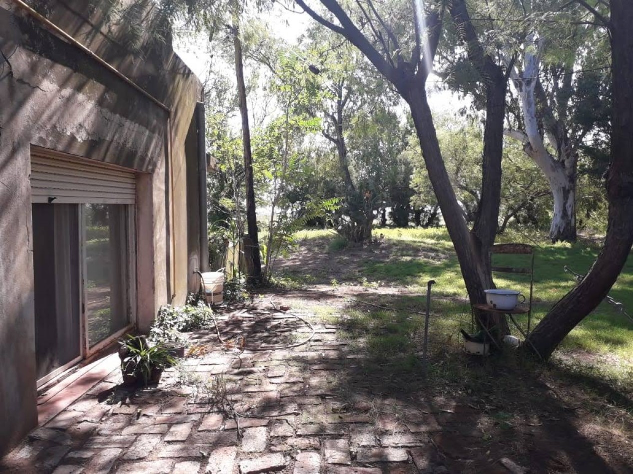 Campo en venta en Medanos , cerca de Bahia Blanca , partido de villarino 