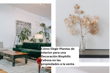 Cómo Elegir Plantas de Interior para una Decoración Biophilic Exitosa en las propiedades a la venta 