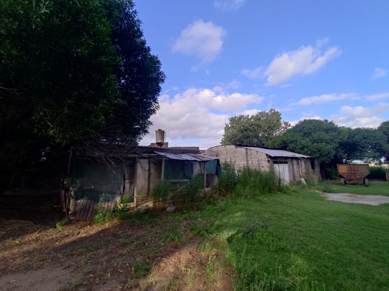 QUINTA SOBRE RUTA 3 IDEAL PARA EMPRENDIMIENTO RURAL